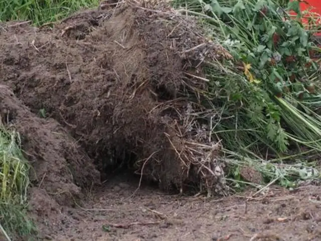 お客様にご満足して頂けるよう作業を丁寧におこない美しい仕上がりをお約束致します。サービスの画像