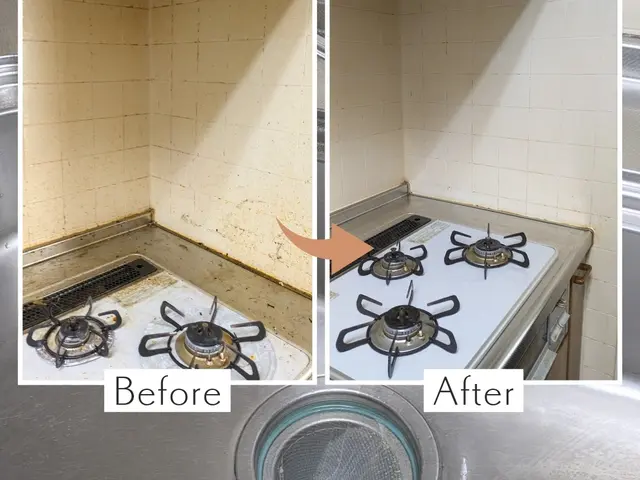 ◤おうちに「ほっと」お届け◢☆掃除・洗濯★作り置き料理もOK☆くらしをラクに★サービスの画像