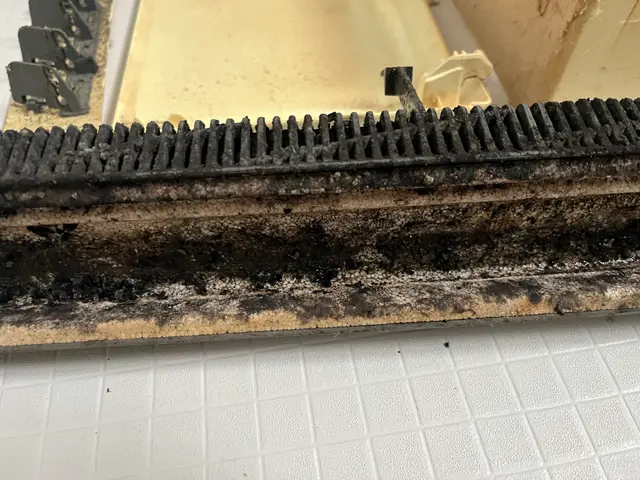 【24時間対応可】カビをガツンと一掃！★エリア最安値★今の時期がおすすめ★サービスの画像