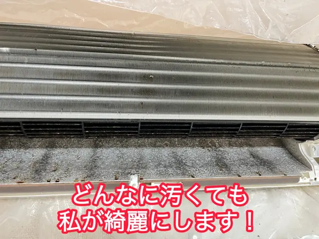 【24時間対応可】カビをガツンと一掃！★エリア最安値★今の時期がおすすめ★サービスの画像