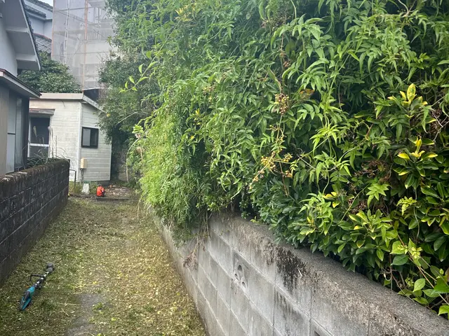 チョット待った！生垣の管理でお困りの方必見！ピシャっと気持ち良いお庭にしましょうサービスの画像