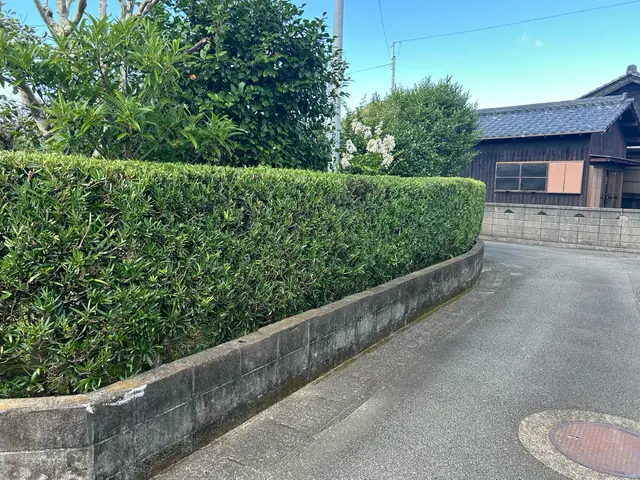 チョット待った！生垣の管理でお困りの方必見！ピシャっと気持ち良いお庭にしましょうサービスの画像