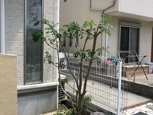 【業歴10年以上の経験】作業外注なし！仕上がり保証あり！お任せください！サービスの画像