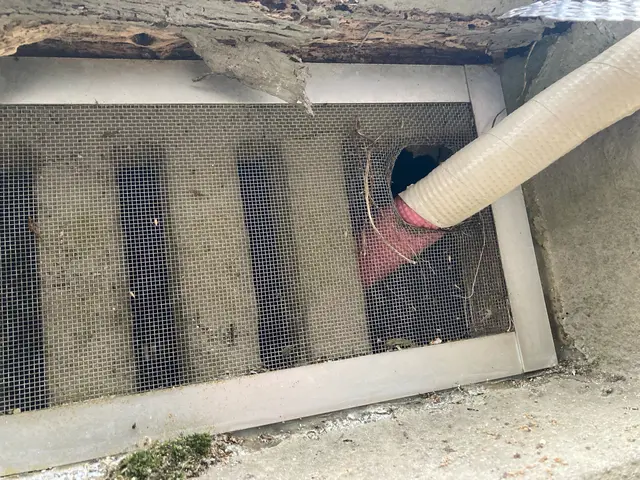 【5年連続受賞】★国家資格保持★専用メタルで侵入経路の封鎖★殺菌消毒施工★関西サービスの画像