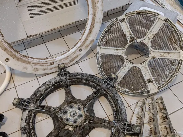 赤ちゃん、ペットにも安心な天然成分で洗浄するから匂いも無く環境にも優しいサービスの画像