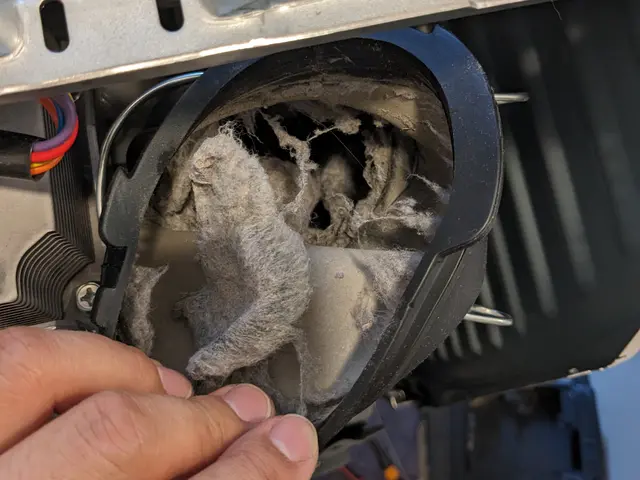 赤ちゃん、ペットにも安心な天然成分で洗浄するから匂いも無く環境にも優しいサービスの画像