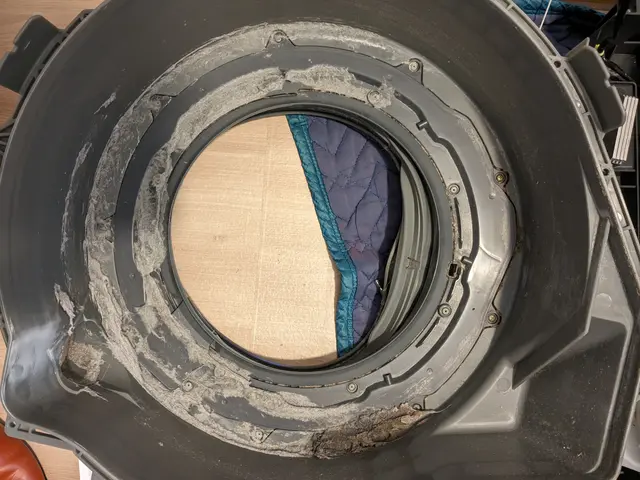 赤ちゃん、ペットにも安心な天然成分で洗浄するから匂いも無く環境にも優しいサービスの画像