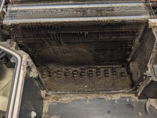 赤ちゃん、ペットにも安心な天然成分で洗浄するから匂いも無く環境にも優しいサービスの画像