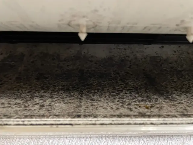 複数台割引有り！今なら抗菌コートサービス中！サービスの画像