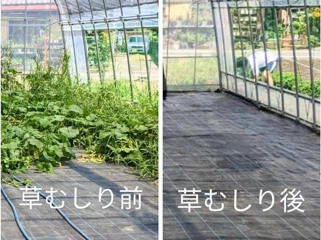 【満足すること間違いなし！】誠実で低価格、最高のサービスを提供します！サービスの画像