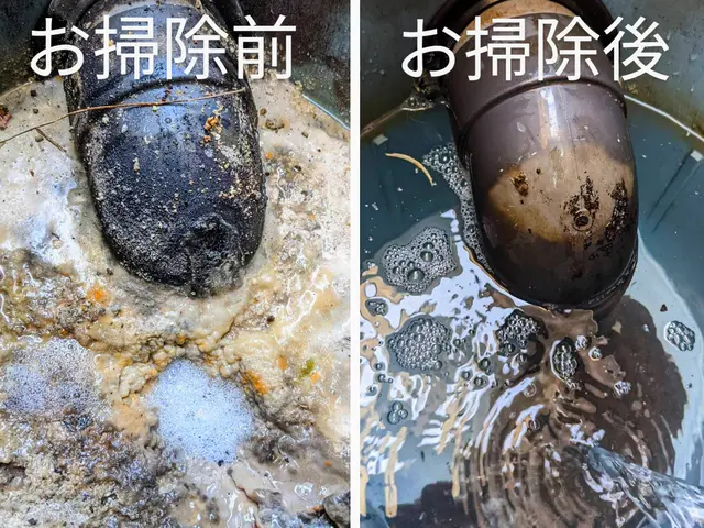 【満足すること間違いなし！】誠実で低価格、最高のサービスを提供します！サービスの画像