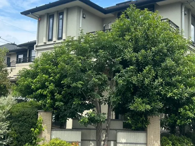 ◆◇12月新規出店◇◆日本滞在25年以上の国際派職人◎サービスの画像