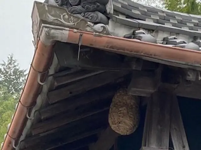 【クレカ・PayPay◎】【当日作業相談◎】【高所作業◎】【土日営業】サービスの画像