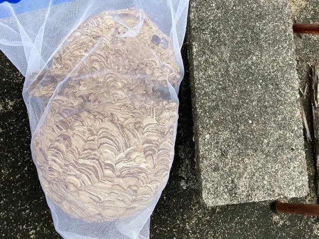 【クレカ・PayPay◎】【当日作業相談◎】【高所作業◎】【土日営業】サービスの画像