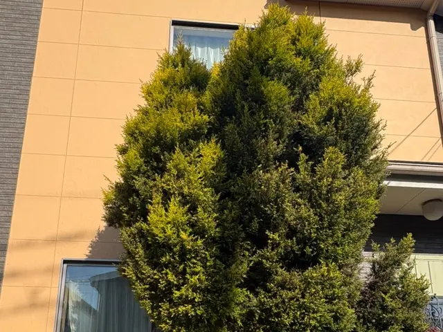 ◆安心丁寧な作業でリピーター多数♪★お庭の悩み解決 気持ちもすっきり ◆サービスの画像