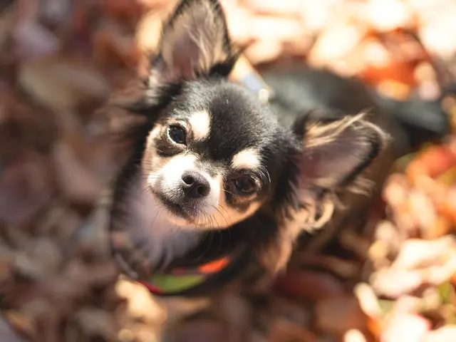 大切なご家族さまの瞬間撮影-感動の一枚を撮影します-