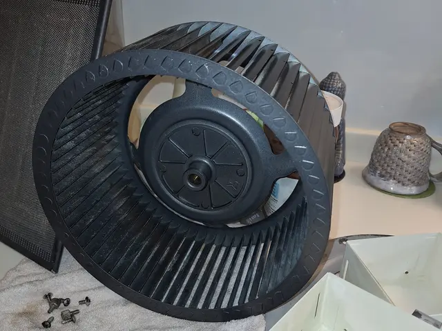 真冬のキャンペーン★今だけ超お得！★プロの技術で徹底洗浄★サービスの画像