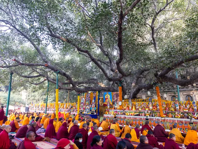 自然で明るくおしゃれに！プロが撮るイベント・パーティー撮影【期間限定割引】サービスの画像