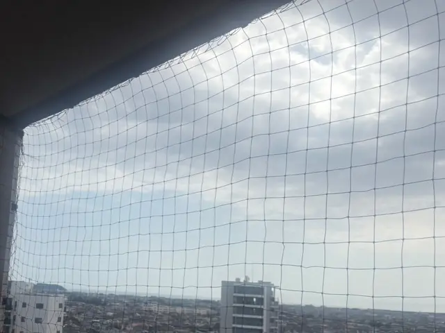 ◎安心女性施工◎鳩の糞害/巣作り対策/ベランダネット取付/鳩の侵入防止対策サービスの画像