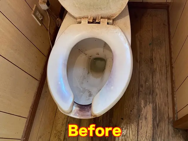 年始のキャンペーン実施中⇒通常価格から20％引きサービスの画像