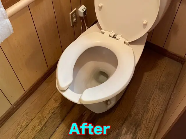 年始のキャンペーン実施中⇒通常価格から20％引きサービスの画像