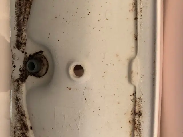 10年の経験あり★エコ洗剤も使えます！！スリッパを持参して伺います★サービスの画像