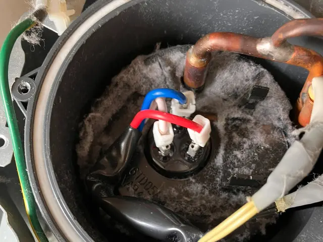 ドラム洗濯機クリーニングサービスの画像