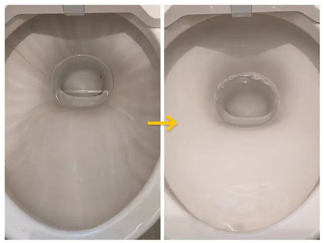 【先着20名様限定価格！】★防汚★根強い人気の抗菌、除菌のトイレクリーニング★サービスの画像