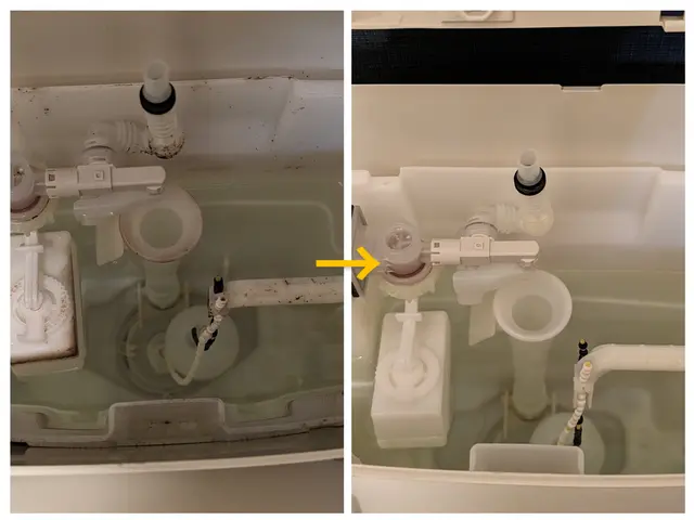 【先着20名様限定価格！】★防汚★根強い人気の抗菌、除菌のトイレクリーニング★サービスの画像