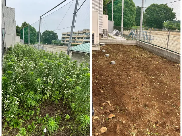 《草むしり》お客様のご希望に寄り添って大切なお庭を綺麗にさせていただきます！サービスの画像