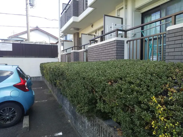 植え込みの剪定をバリカンやハサミで剪定します。サービスの画像