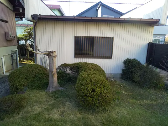 植え込みの剪定をバリカンやハサミで剪定します。サービスの画像