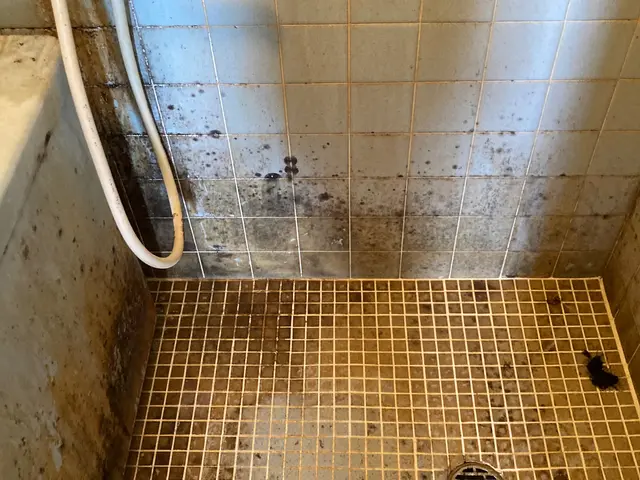 【お盆前に綺麗にしませんか？お掃除するなら今！】水回り４点クリーニング！サービスの画像