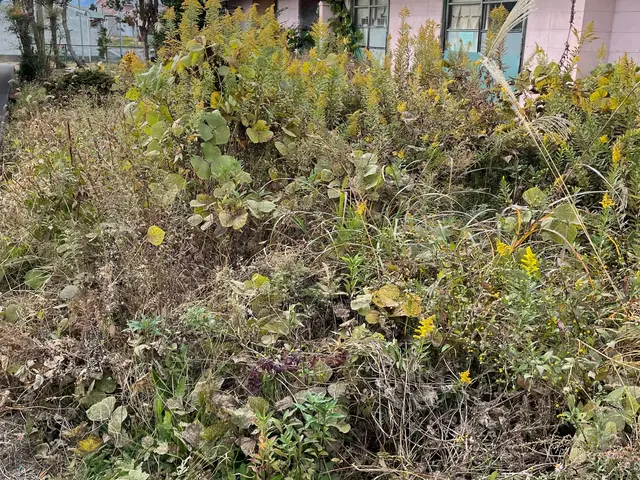 範囲広く対応！店長が必ず訪問！草刈りサービス！サービスの画像