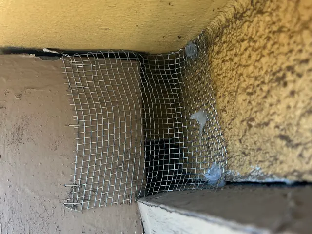 24H/最短当日施工可能！関東対応！侵入口徹底閉鎖&必ず完全駆除！業務用薬剤込みサービスの画像