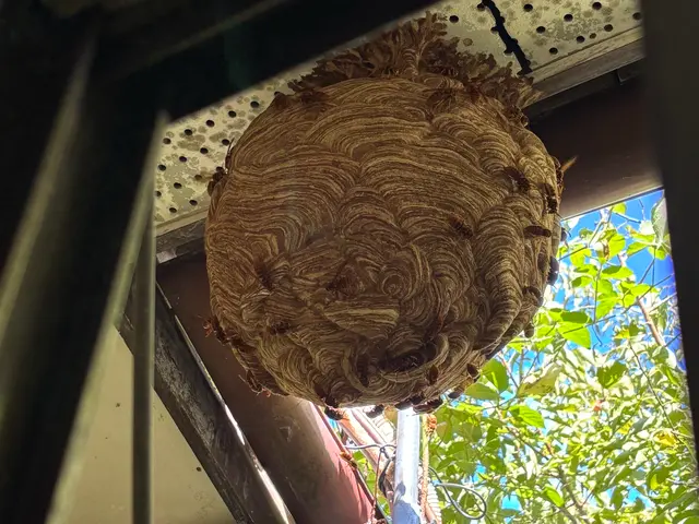 豊富な経験と知識で安心！仕上がり重視で丁寧に作業いたします！サービスの画像