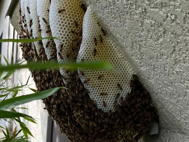 豊富な経験と知識で安心！仕上がり重視で丁寧に作業いたします！サービスの画像