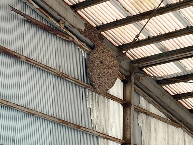 豊富な経験と知識で安心！仕上がり重視で丁寧に作業いたします！サービスの画像