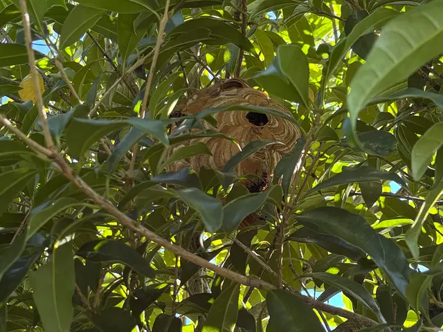 豊富な経験と知識で安心！仕上がり重視で丁寧に作業いたします！サービスの画像