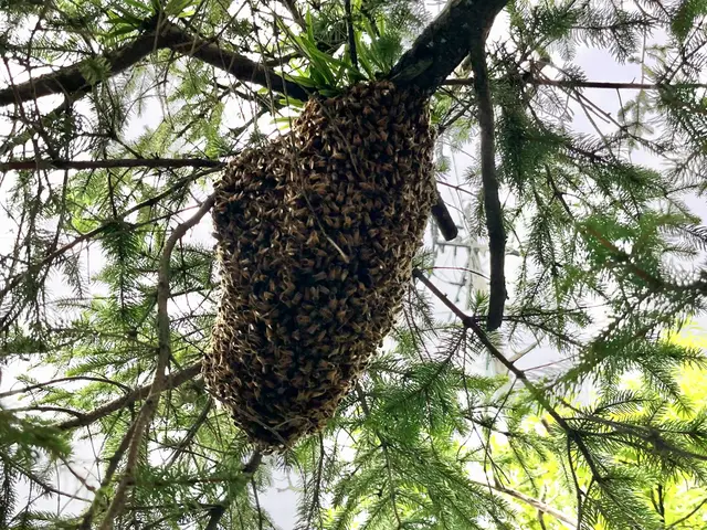 豊富な経験と知識で安心！仕上がり重視で丁寧に作業いたします！サービスの画像