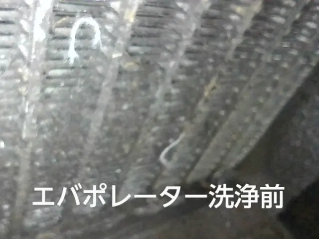 [カーエアコン洗浄]カメラで見ながら高圧洗浄！1000件以上の実績！サービスの画像