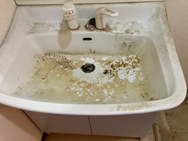 《洗面所クリーニング》月100件の経験と技術。お部屋掃除のプロがお伺い致します！サービスの画像