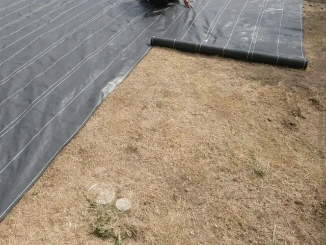 ☆雨の日でも安心☆快適なお庭へ☆　群馬県＆埼玉県北部はお任せください！サービスの画像