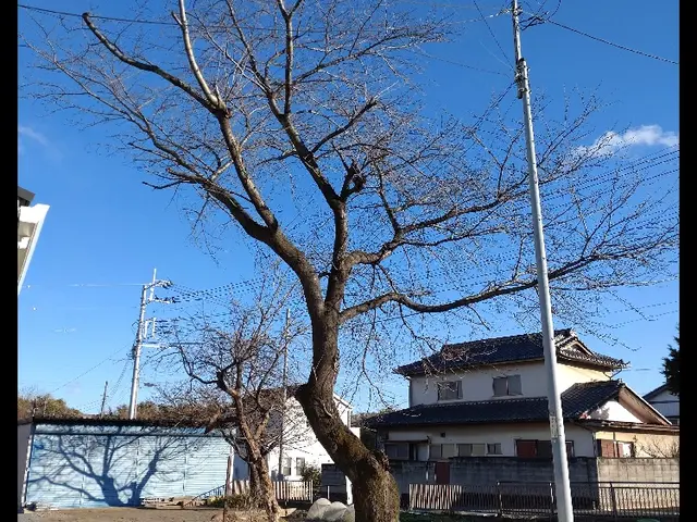 【口コミ500件突破】☆1級造園施工管理技士☆サービスの画像