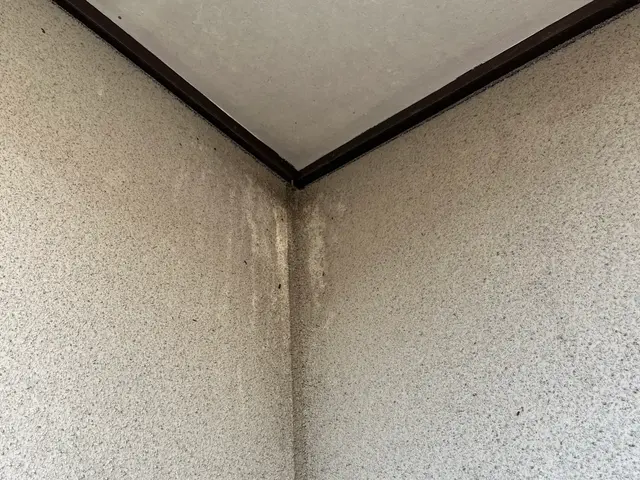 鳥の巣清掃サービスの画像