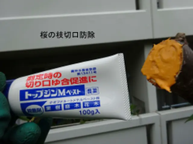 業歴45年以上！丁寧さを大切に、お客様と一緒に庭園作りをしていきます！年中無休サービスの画像