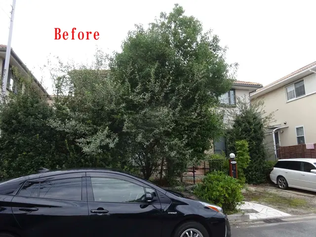 業歴45年以上！丁寧さを大切に、お客様と一緒に庭園作りをしていきます！年中無休サービスの画像