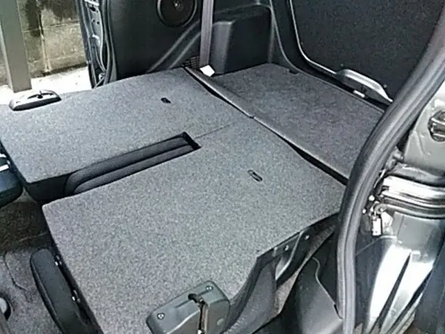 ★車内をアルカリイオン電解水で安全に除菌洗浄・消臭★気になる汚れをリフレッシュサービスの画像