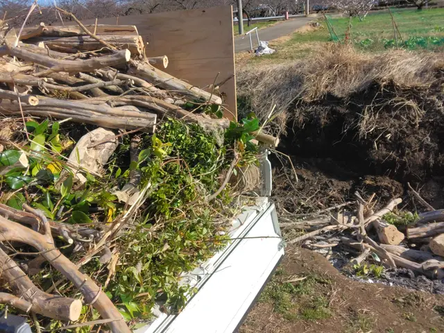 【お庭の樹木の剪定】植木のお困りごとはお任せください。サービスの画像