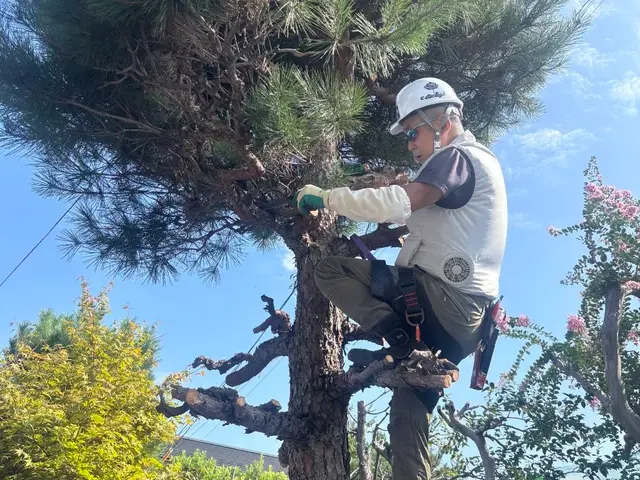 【お庭の樹木の剪定】植木のお困りごとはお任せください。サービスの画像